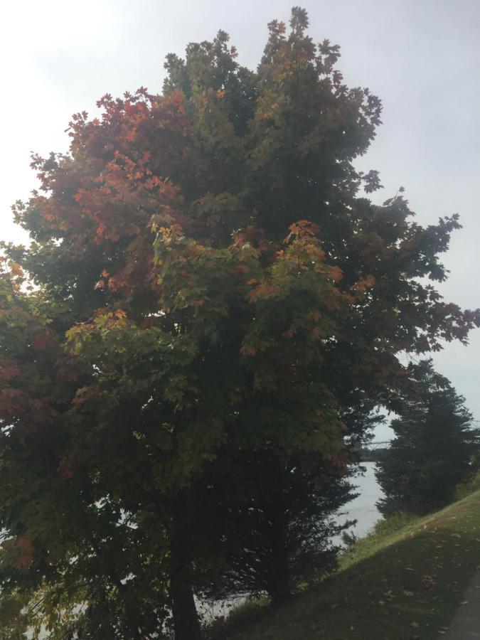 Inn 38 Oak Bluff Circle Plymouth Esterno foto