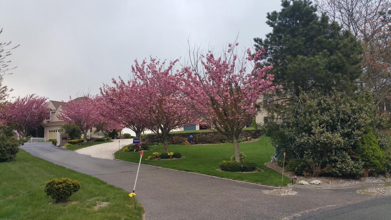 Inn 38 Oak Bluff Circle Plymouth Esterno foto